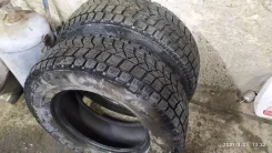 Maxxis MA-PW Presa Snow. ������, ��� �����, �/�, ����� 10�% ����