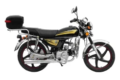 Regulmoto Alpha 110. 110����. ��., ��������, ��� ���, ��� ������� ����