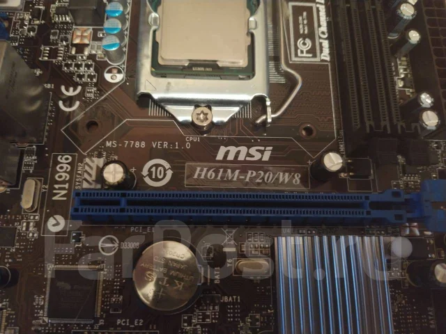 AMD ����