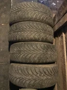 Sava Eskimo Stud. ������, 2016 ���, �/�, ����� 60�% ����