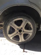 Uniglory. ������, ��� �����, �/�, ����� �� 5�% ����