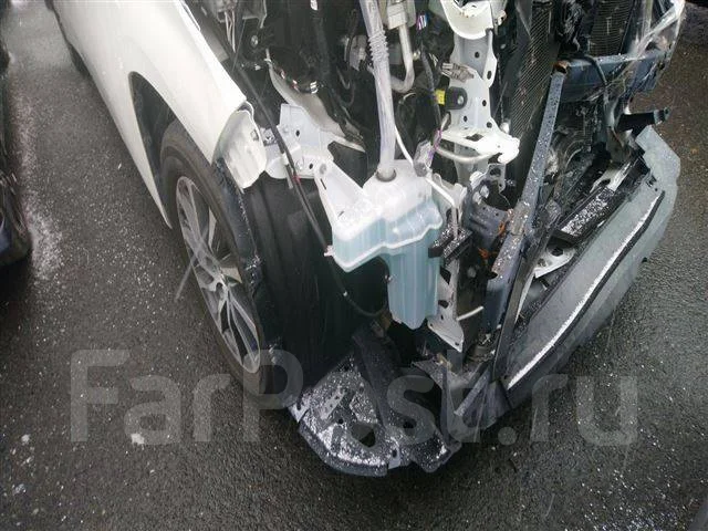 Toyota Alphard. AGH3011111 ����