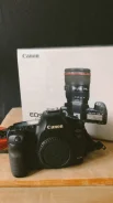 Canon EOS 5D Mark II Body. 20 � ����� ��, ���: ��� ���� ����