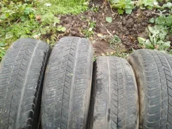 Dunlop SP 31. ������, �/�, ����� 40 % ����