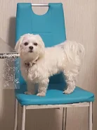 ����������� �������. ����