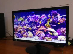 Samsung. 20" ����