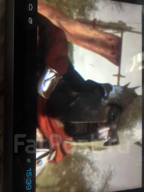 Acer Iconia Tab A500 ����