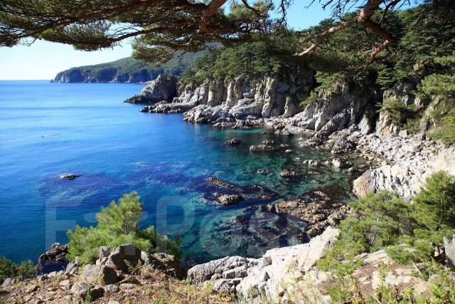 Бухта орлан приморский край фото Экскурсии! ЮГ Приморья! (из Андреевки, Витязя и Владивостока)