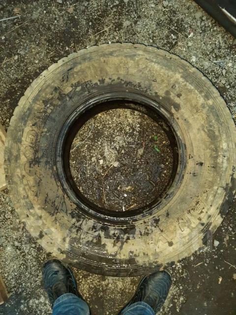 Goodyear Ice Navi Van. ������, ��� �����, �/�, ����� 30 % ����