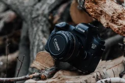 Canon EOS 6D. ���: ��� ���� ����