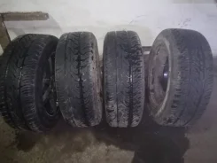 Toyo Celsius Cuv. ������, �/�, ����� 10�% ����