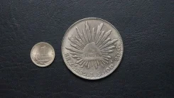 ����� ������ � 4 ����