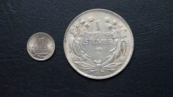 ����� ������ � 7 ����