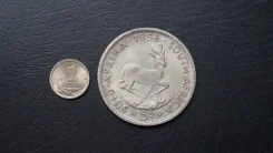 ����� ������ � 17 ����