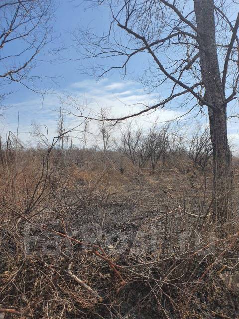 Фото школы,с. Участок 35 соток. 25 участок владивосток. Участок во владивостоке. Сотка владивосток.