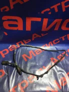 ������ ����������� Peugeot 406, 8B, XU10J4R 258006027 ����