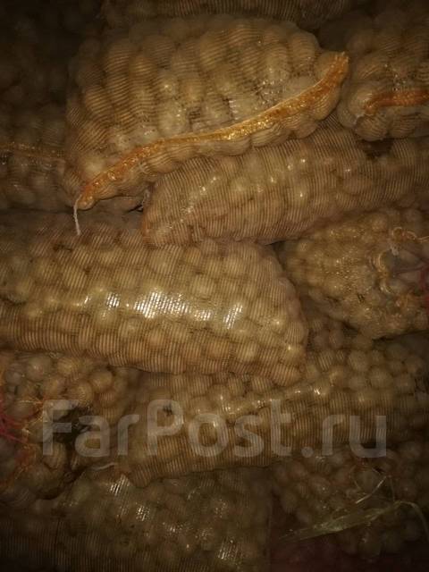 Картофель семенной Адретта - Домашние продукты в Артеме