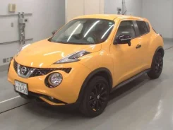 Nissan Juke. �������, ��������, 1.5, ������, 13 000����. ��, �/�. ��� ����� �� ������������ ����