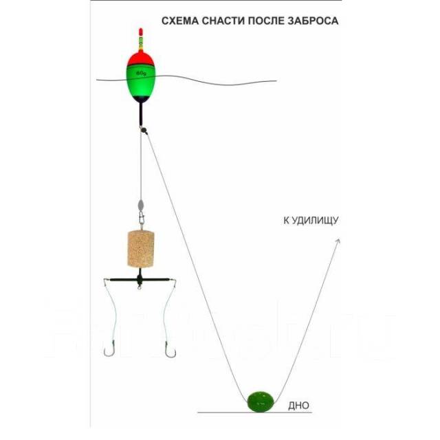 Схема снасти на толстолоба