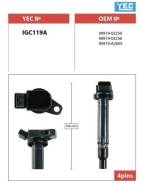   YEC IGC119A IGC119A 