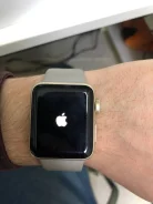 Apple Watch Series 2. GPS, NFC, IP67 ����
