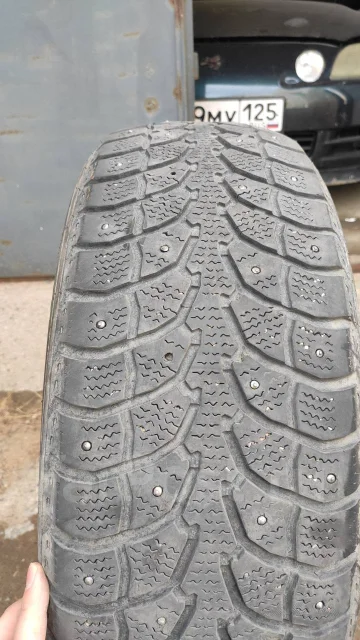 Eldorado Winter Claw Extreme Grip MX. ������, ����������, �/�, ����� 60 % ����