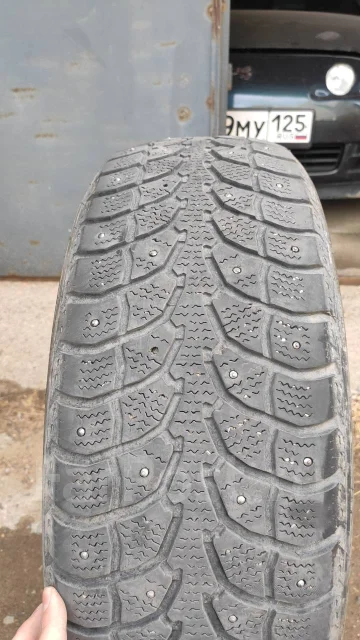 Eldorado Winter Claw Extreme Grip MX. ������, ����������, �/�, ����� 60 % ����
