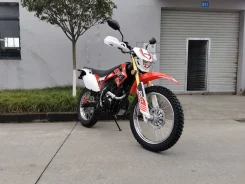 Roliz Sport-004. 250����. ��., ��������, ���������, ��� ������� ����