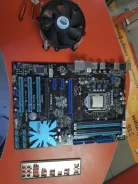 P55 ����