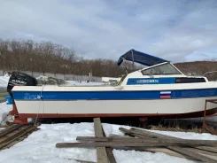 Yamaha Fish 24. 1989 ���, ��������� ���������, ������ ����