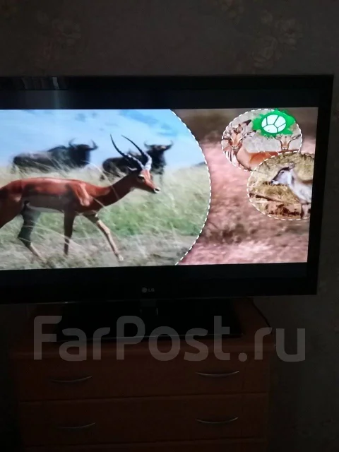 LG 42LW4500. LCD (��) ����