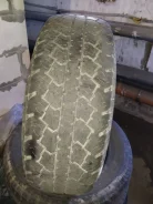 Lassa Competus. ������, 2013 ���, �/�, ����� 60�% ����