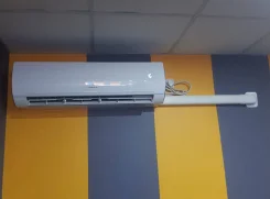 ������������ �������������. ����