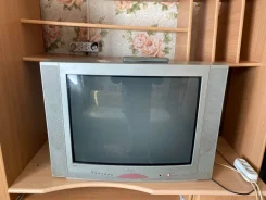 EVGO. CRT (���) ����