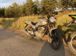 Irbis VR-1. 250����. ��., ��������, ���, � �������� ����