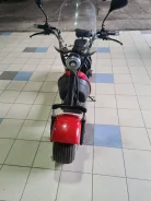 Seev Citycoco. ��������, ��� ��� ����
