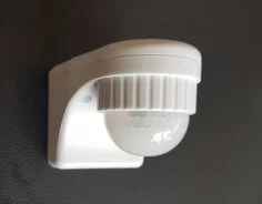 ������� ��������. ����