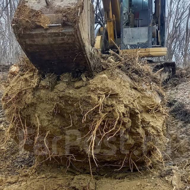 Спил, пилка, деревьев, валка леса, раскорчуем и вывезем пни во Владивостоке