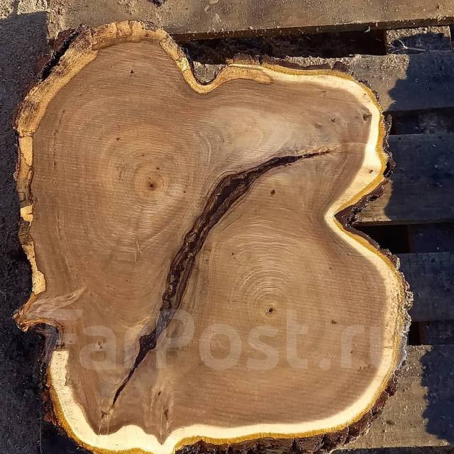 Спил, пилка, деревьев, валка леса, раскорчуем и вывезем пни во Владивостоке