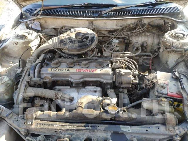 Toyota Sprinter. ��������, ��������, 1.5 (94��.�.), ������, 228 428����. �� ����