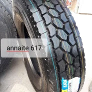 Annaite 617. �����������, 2021 ���, ����� ����