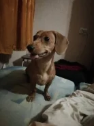 �����. ����