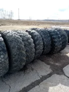 TyRex CRG O-184. ����� mt, 2017 ���, �/�, ����� 30 % ����
