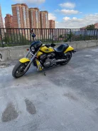 Harley-Davidson Night Rod Special VRSCDX. 1 250����. ��., ��������, ���, � �������� ����