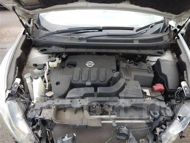 Nissan Murano. TNZ51001857, QR25DE ����