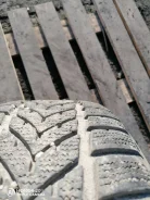 Vredestein NordTrac. �����������, �/�, ����� 5 % ����