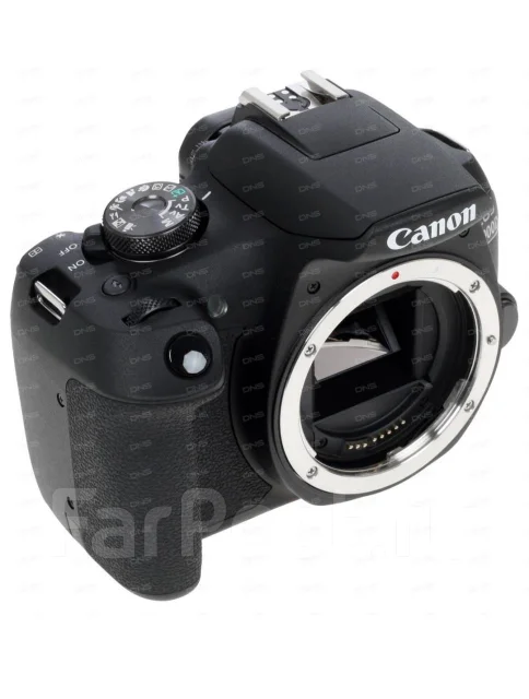 Canon EOS 2000D. 20 � ����� ��, ���: ��� ���� ����