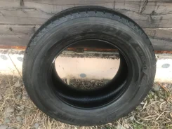 Bridgestone Ecopia EP-03. ������, 2019 ���, �/�, ����� 5�% ����