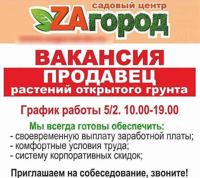 Вакансии уссурийск. Работа в Уссурийске вакансии. Вакансии в Уссурийске свежие. Фарпост Уссурийск работа вакансии. Подработка Уссурийск 11 лет.