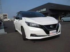 Nissan Leaf. ��������, ��������, �������������, 22 000����. ��. ��� ����� �� ������������ ����